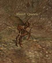 Blant Queen